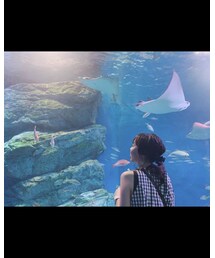 アクアパーク🐬💕 | その他