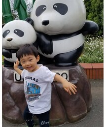 DESIGNWORKS | Tシャツ/カットソー