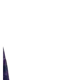 IROIRO | その他アウター