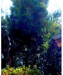 H&M | ニット/セーター