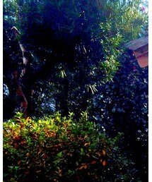 j.s.homestead | ブルゾン