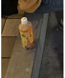 半年前のお茶 | エプロン