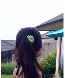 no brand | バレッタ/ヘアクリップ