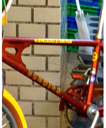 Schwinn | その他