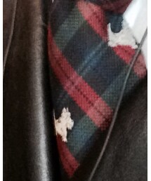 POLO RALPH LAUREN | ネクタイ