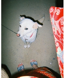 マロン先輩 | その他