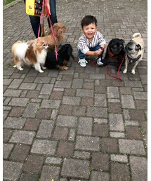 🐶大好き♡ | その他