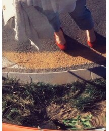 Chloe | パンプス