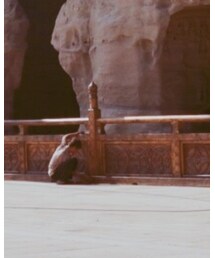 boyy | ショルダーバッグ