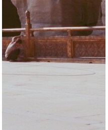 DOLCE&GABBANA | サンダル