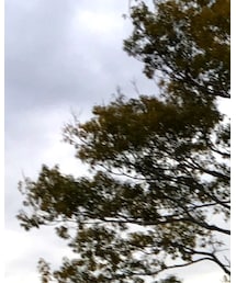 真ん中がぼく | その他