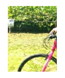 GIANT | スポーツグッズ