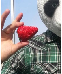 紅ほっぺ | その他