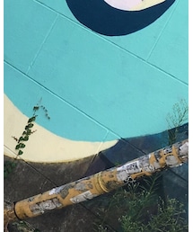 ZARA | その他パンツ