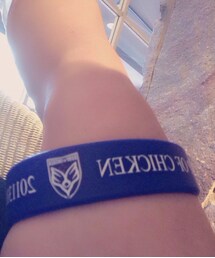 BUMPOFCHICKEN | BUMPOFCHICKEN 2011年ツアー(ブレスレット)