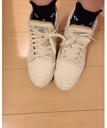 catworld | ソックス/靴下