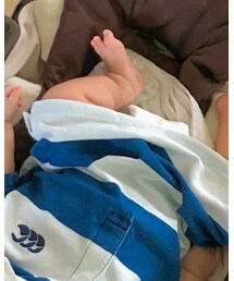 canterbury | ポロシャツ