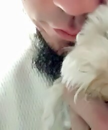 1960's US ARMY | Tシャツ/カットソー