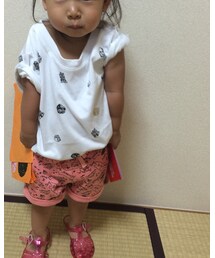 気をつけ〜ピッ | 福袋/福箱