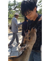 UNKNOWN. | 鹿
(その他)