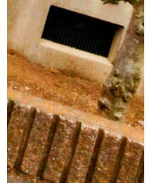 パーティーコーデ | その他