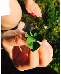 五つ葉見つけた❗️🍀 | その他