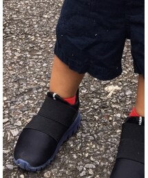 Champion | ソックス/靴下