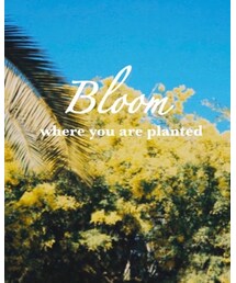 BLOOM | Tシャツ/カットソー