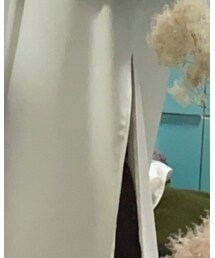 litmus | ワンピース/ドレス