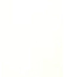 no brand | その他