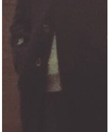 BEAUTY&YOUTH UNITED ARROWS | ニット/セーター