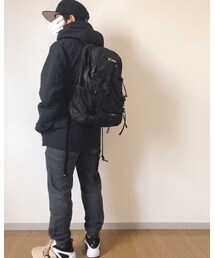 バックショット | その他