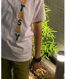 STUSSY | Tシャツ/カットソー