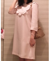 franchelippee | ワンピース