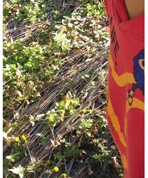 しまむら | パーカー