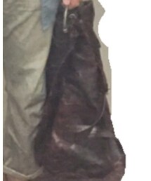 OLD JOE & CO. | ショルダーバッグ