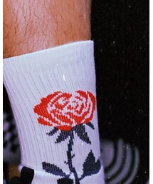 VANS | ソックス/靴下