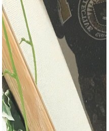 MOUSSY | トップス