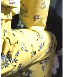 EVRIS | トップス