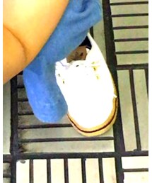 adidas | スニーカー