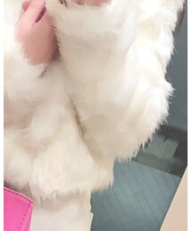 CECIL McBEE | ノーカラージャケット