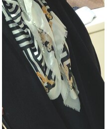 H.P.FRANCE | マフラー