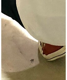 CONVERSE ALL STAR | シューズ