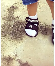 Champion | ソックス/靴下