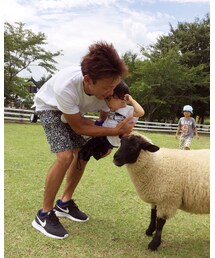 羊にギャン泣きれっと。 | クッション/クッションカバー