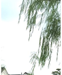 倉敷の美観地区に行って来ました | その他