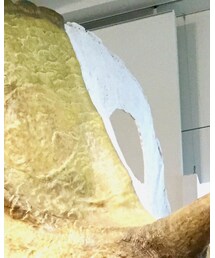 大恐竜展 | その他