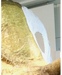 広島県立美術館 | その他