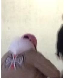 the good company | キャップ