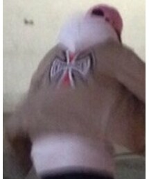 INDEPENDENT | その他アウター